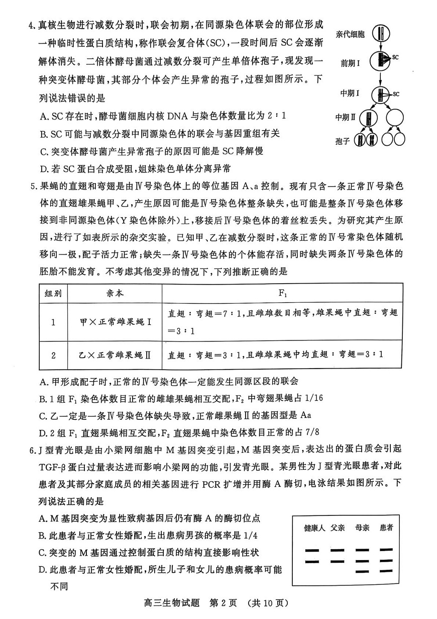 山东省名校考试联盟2024-2025学年高三下学期3月高考模拟考试生物试题 第2页