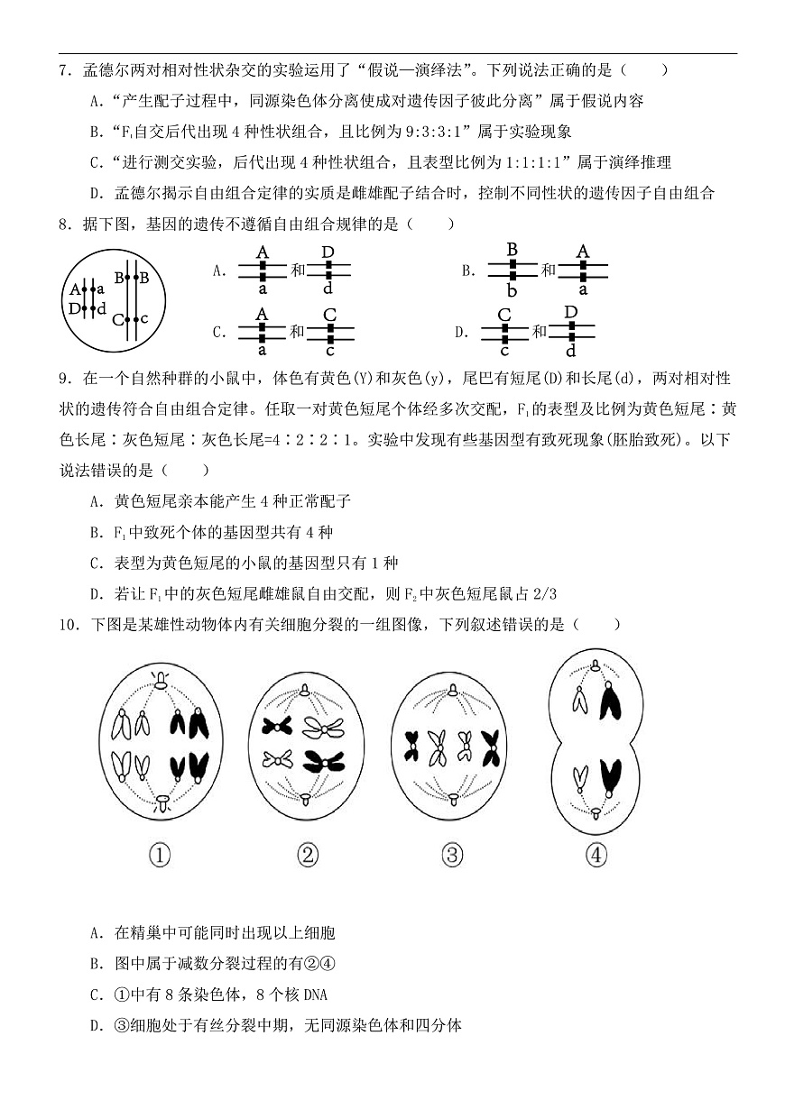 高一3月月考生物卷 (1)第2页