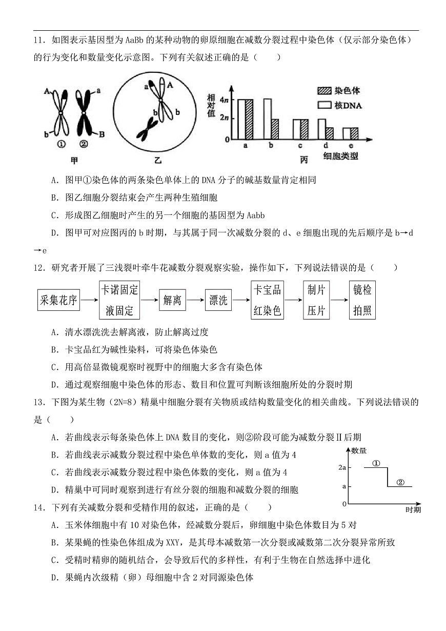 高一3月月考生物卷 (1)第3页