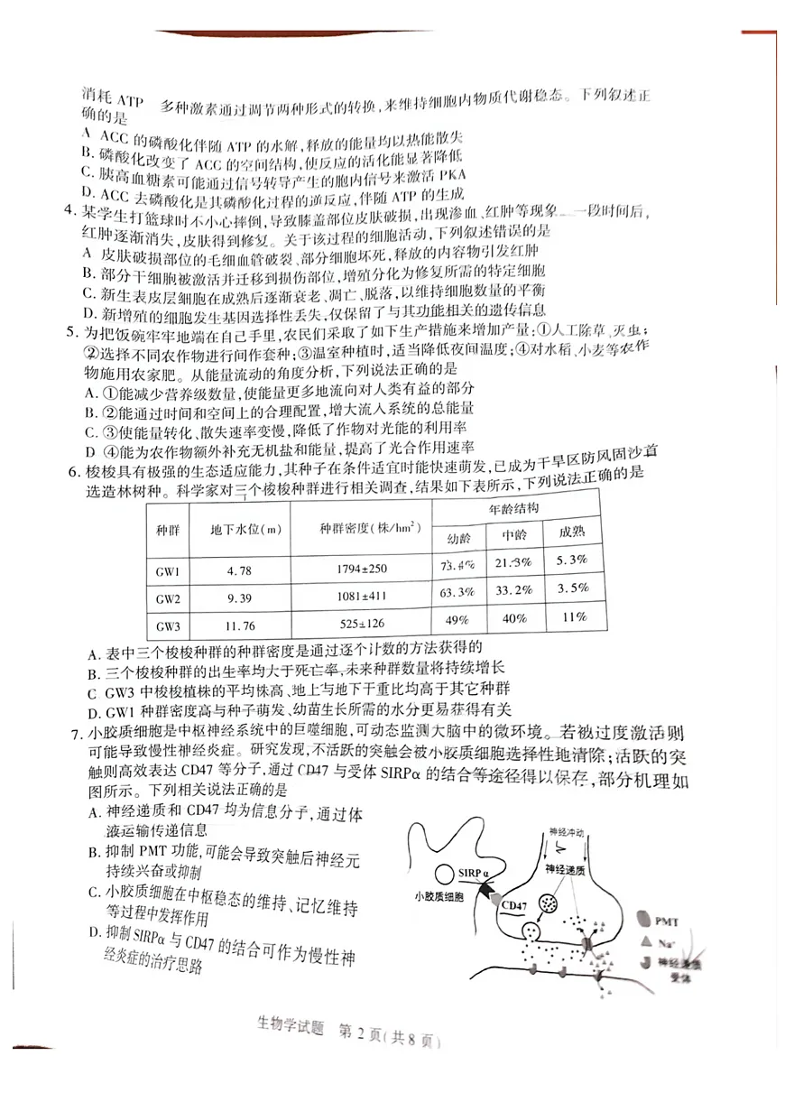 16833223第2页