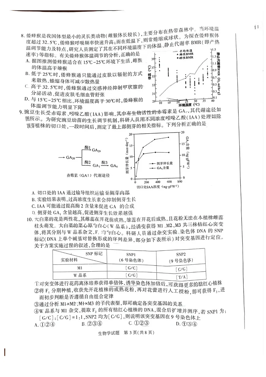 16833223第3页