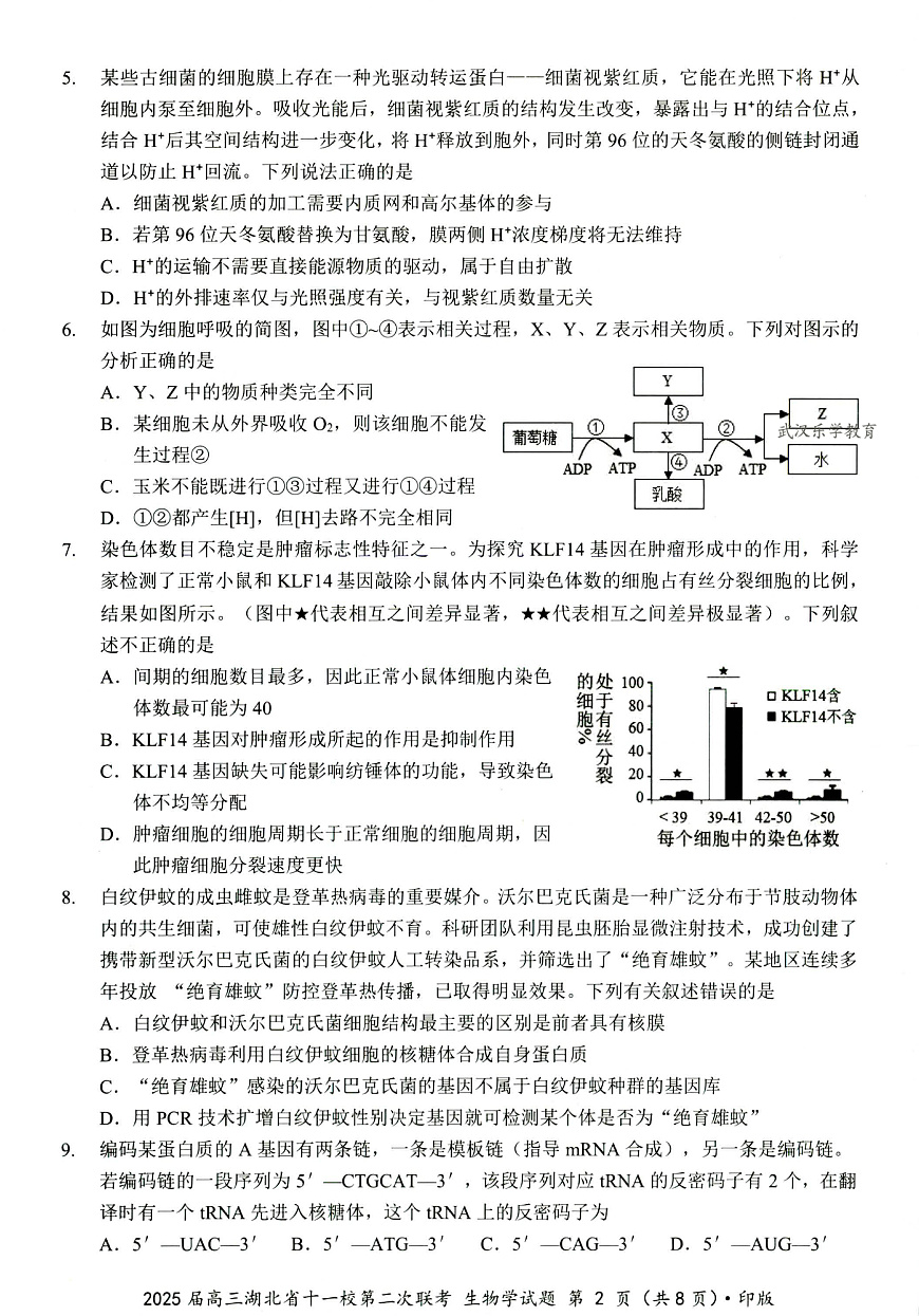 湖北十一校第二次联考生物试卷第2页