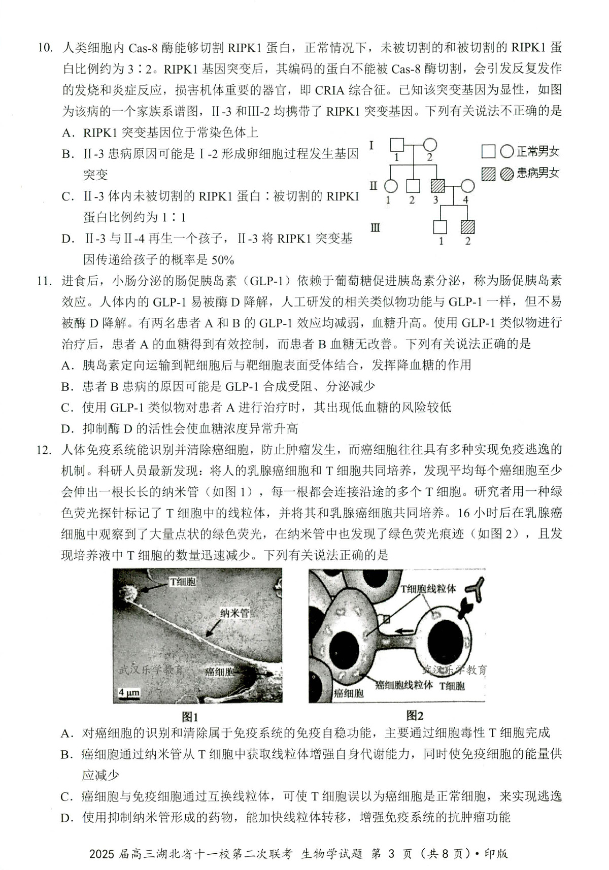 湖北十一校第二次联考生物试卷第3页