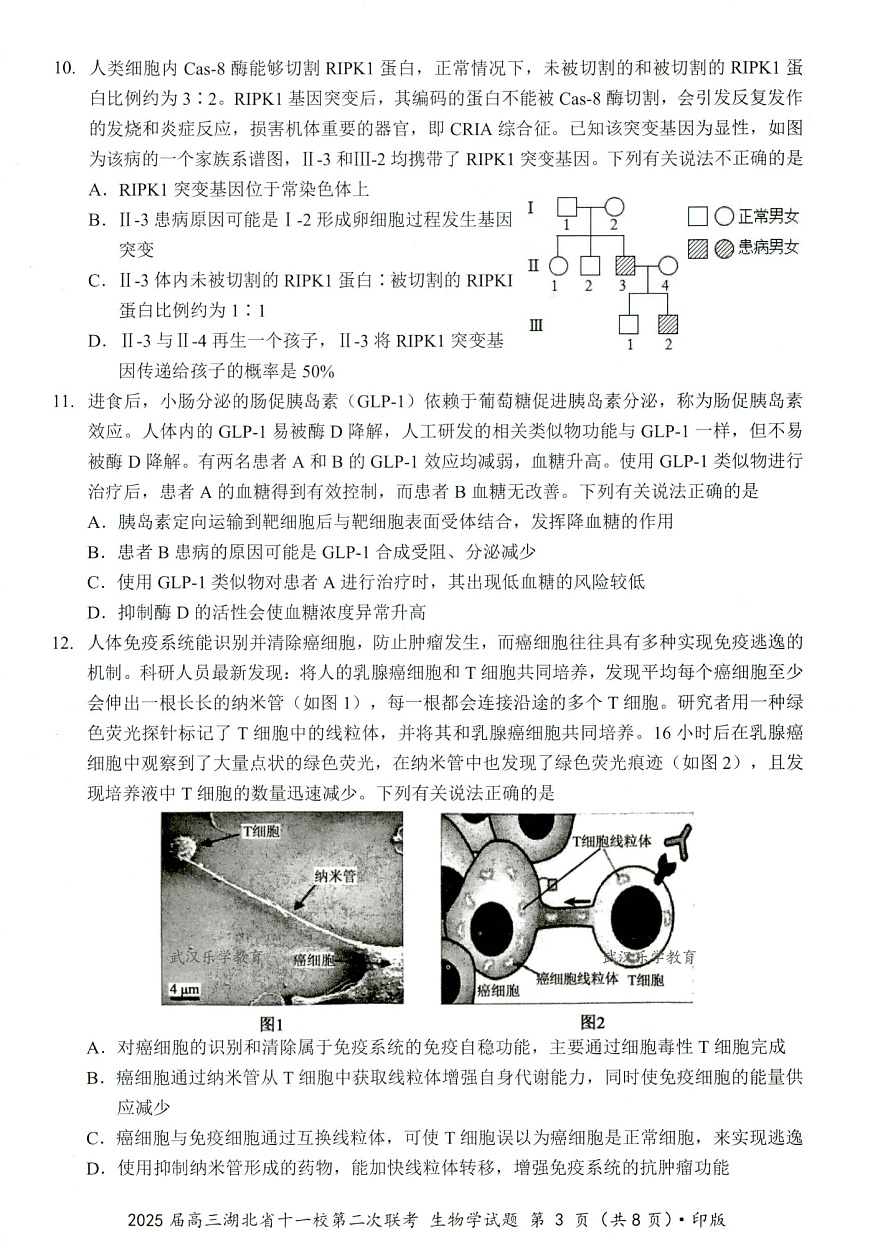 湖北十一校第二次联考生物试卷第3页