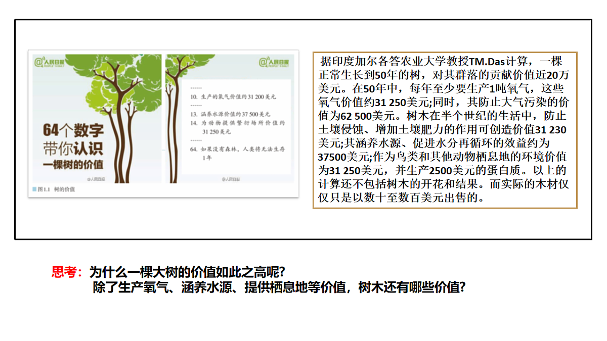 人教版高中地理选择性必修3 1-1自然环境的服务功能 教学课件第3页