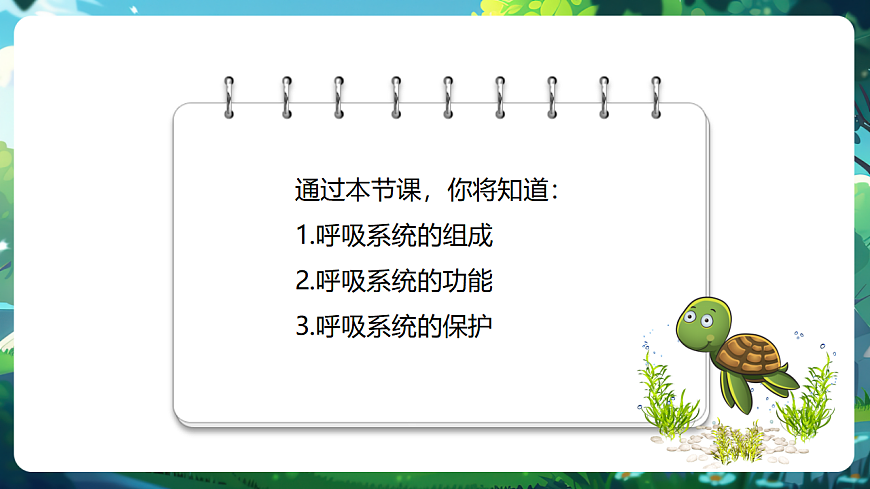 【核心素养】冀少版生物七下3.3.1呼吸系统的组成 课件(共31张PPT)+视频素材第3页