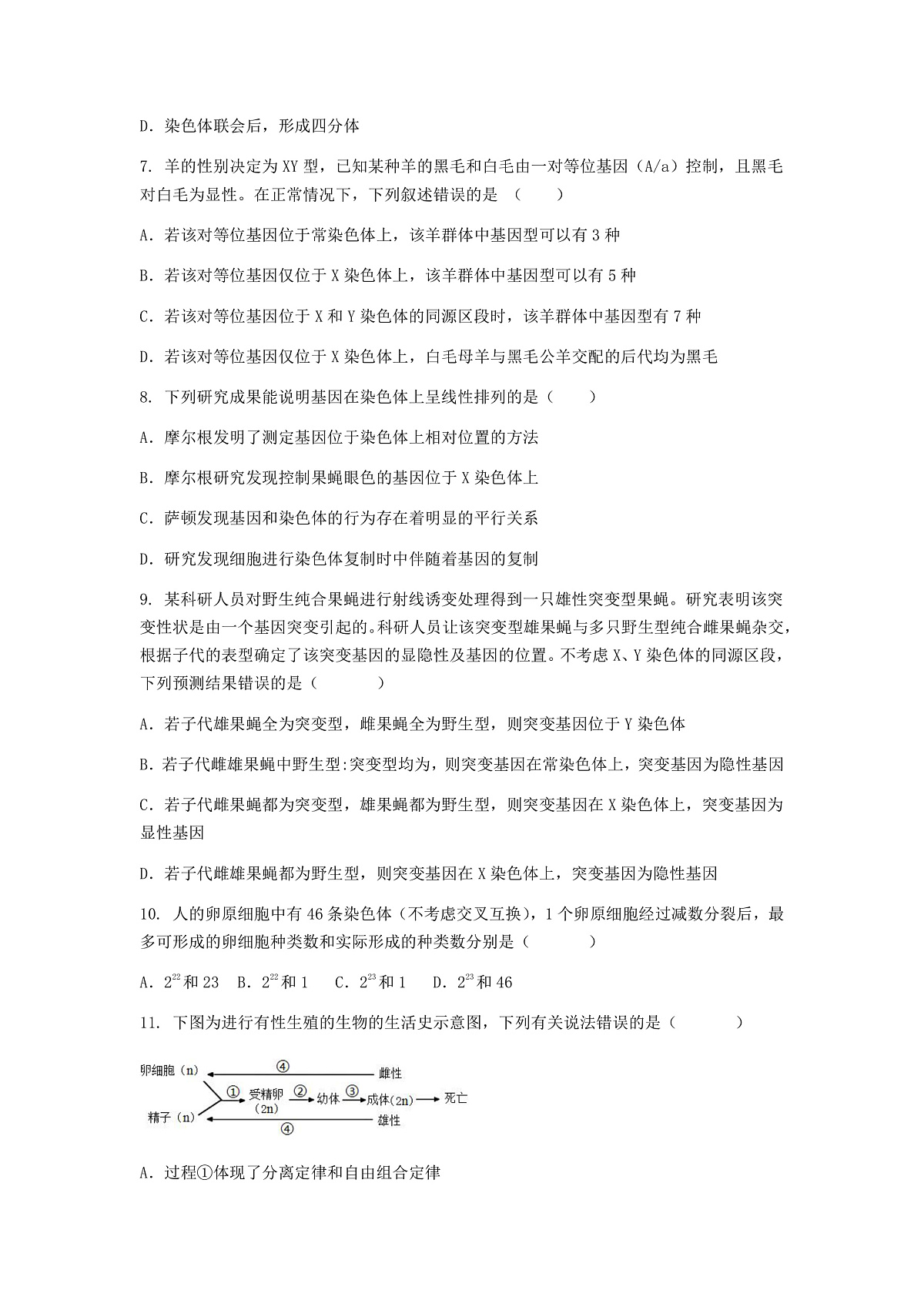 4第3页