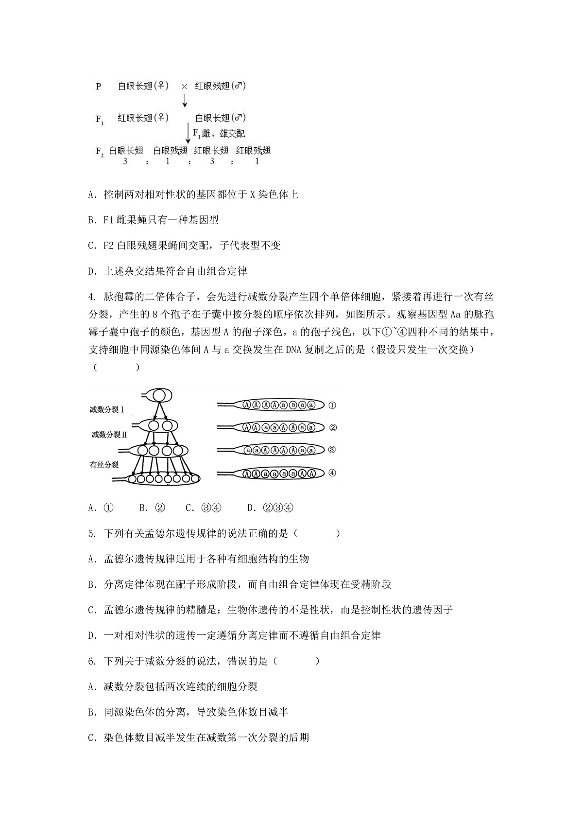 （人教版）2024-2025高一下学期生物（第2章 基因和染色体的关系）综合测试卷及答案第2页