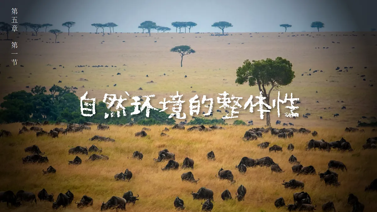 人教版高中地理 选择性必修1 5-1自然环境的整体性教学课件第1页