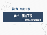2.3.1 胚胎工程的理论基础-2024-2025学年高二生物优质课件（人教版2019选择性必修3）