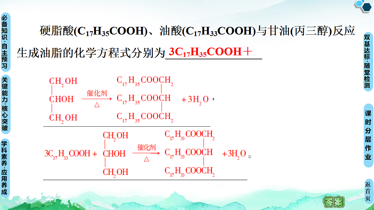 第3章  第4节　第2课时　羧酸衍生物——油脂与酰胺 课件【新教材】人教版（2019）高中化学选择性必修3第5页