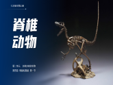 人教版2024七年級(jí)上冊(cè)生物2.2.2 脊椎動(dòng)物-鳥(niǎo)和哺乳動(dòng)物 課件