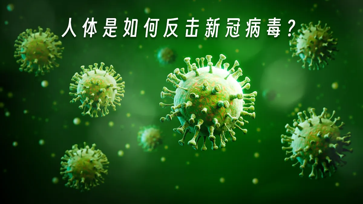 16869161第2页