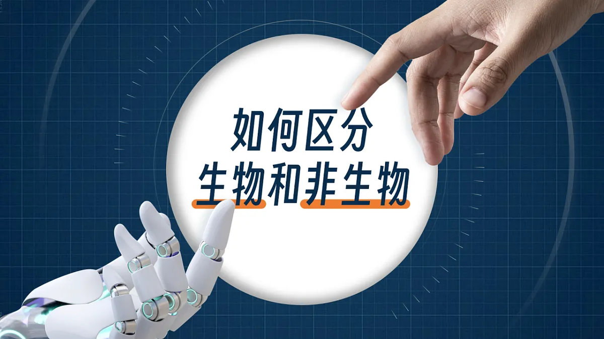 16869161第3页