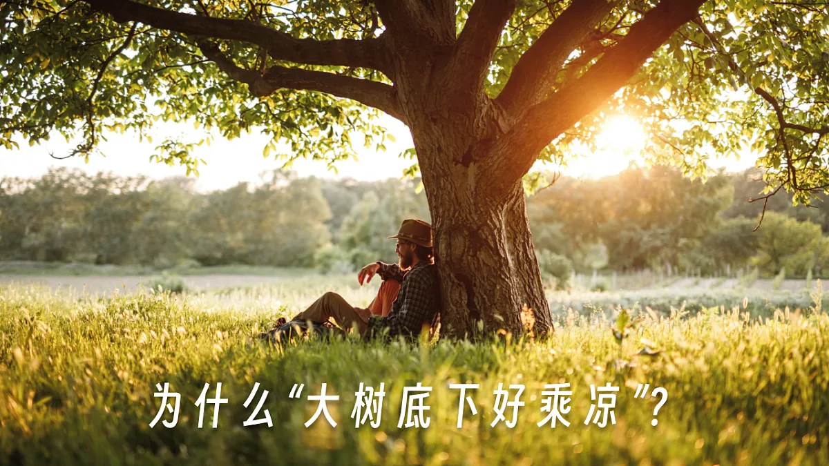 16869161第5页