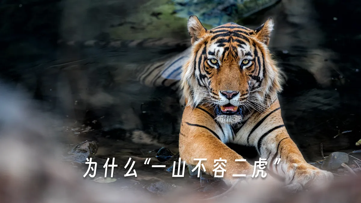 16869161第6页