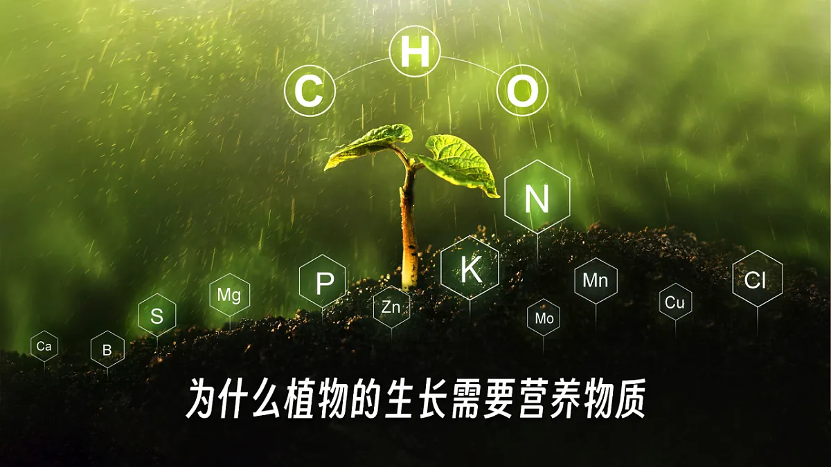 16869161第7页