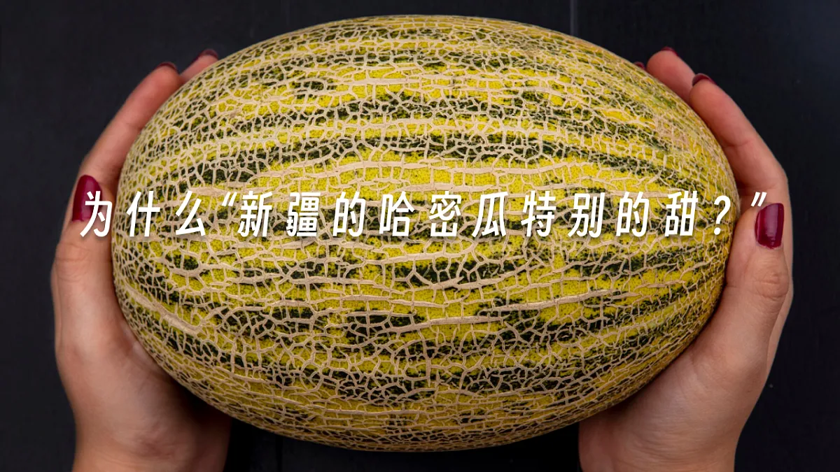 16869161第8页