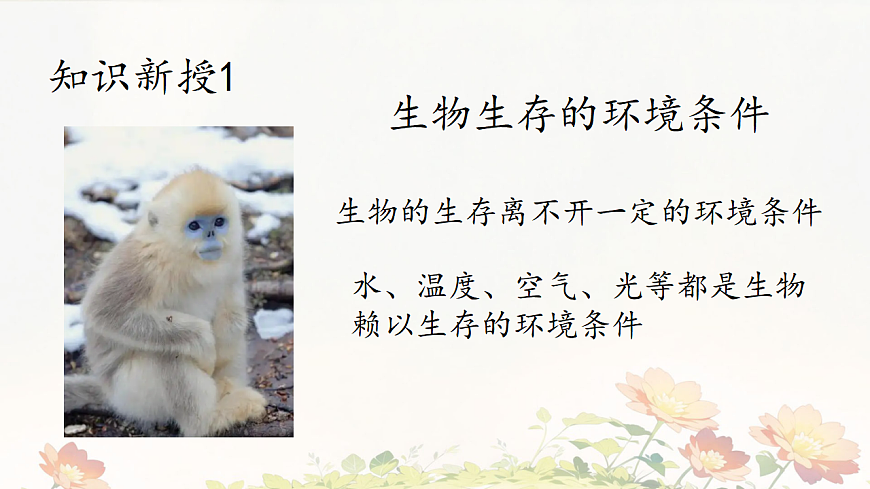 初中 生物 苏教版（2024）七年级下册3.7.1 生态系统的构成 课件第3页