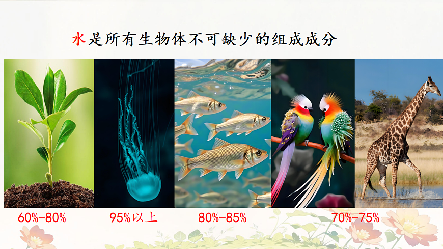 初中 生物 苏教版（2024）七年级下册3.7.1 生态系统的构成 课件第4页
