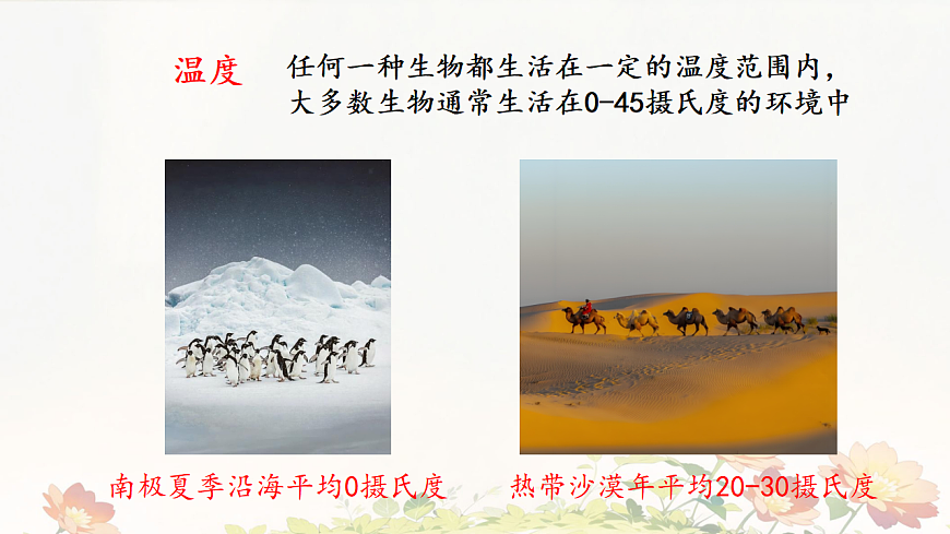 初中 生物 苏教版（2024）七年级下册3.7.1 生态系统的构成 课件第6页