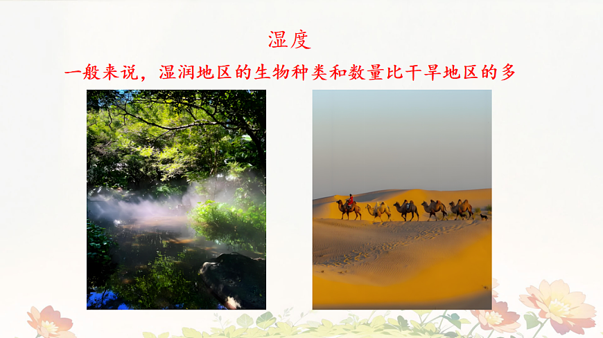 初中 生物 苏教版（2024）七年级下册3.7.1 生态系统的构成 课件第7页