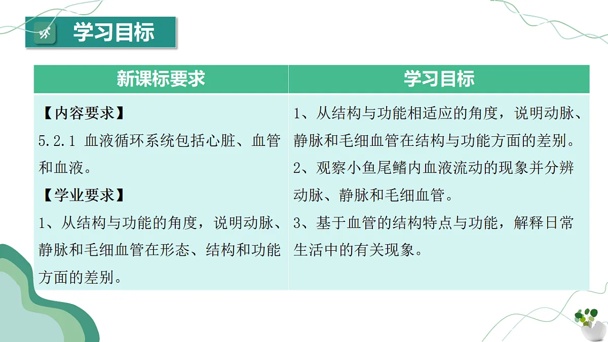 4.4.2 血流的管道——血管（教学课件）-2024-2025学年七年级生物下册（人教版2024）第3页
