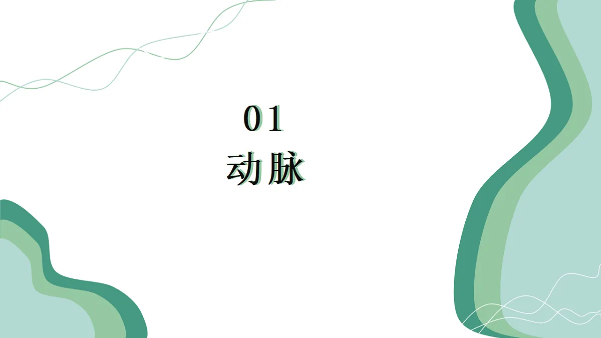 4.4.2 血流的管道——血管（教学课件）-2024-2025学年七年级生物下册（人教版2024）第5页