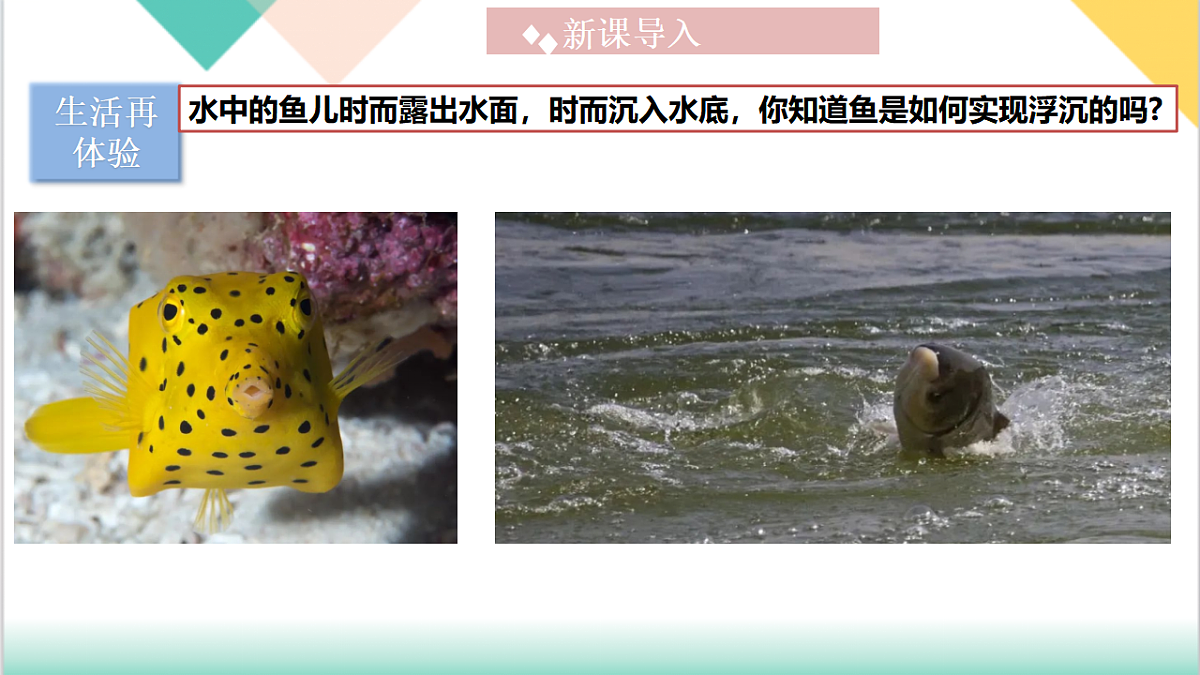 9.3 物体的浮沉（同步课件）-2024-2025学年八年级物理下册（沪粤版2024）第4页