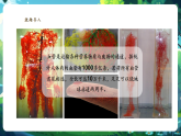 【新教材核心素養(yǎng)】人教版生物七年級(jí)下冊(cè)4.4.2血流的管道——血管（課件+同步教案+導(dǎo)學(xué)案+分層作業(yè)）