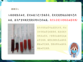 【新教材核心素養(yǎng)】人教版生物七年級(jí)下冊(cè)4.4.2血流的管道——血管（課件+同步教案+導(dǎo)學(xué)案+分層作業(yè)）