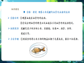 【新教材核心素養(yǎng)】人教版生物七年級(jí)下冊(cè)4.4.2血流的管道——血管（課件+同步教案+導(dǎo)學(xué)案+分層作業(yè)）