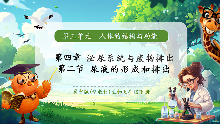 【核心素养】冀少版（新教材）生物七下 3.4.2尿液的形成和排出 课件(共31张PPT)+视频素材第1页