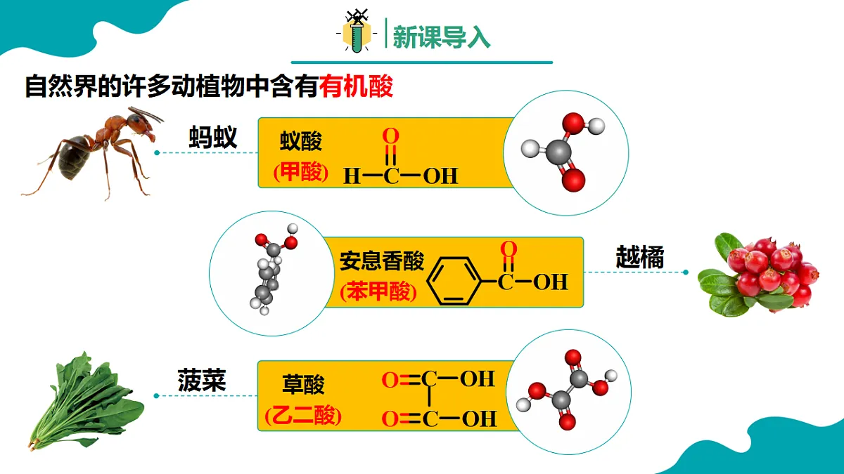 高中化学人教版2019选择性必修3 3.4 羧酸 羧酸衍生物 第1课时（同步课件）第3页