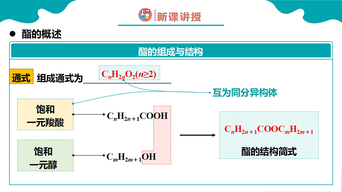 高中化学人教版2019选择性必修3 3.4 羧酸 羧酸衍生物 第2课时（同步课件）第6页