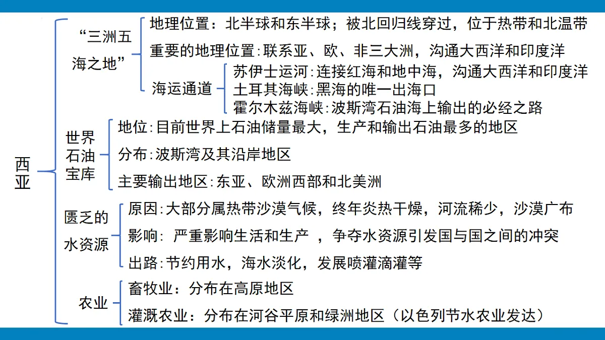 16901441第3页