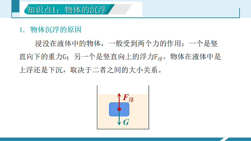 10.3 物体的沉浮条件及应用（同步课件）2025学年八年级物理下册（人教版2024）第5页