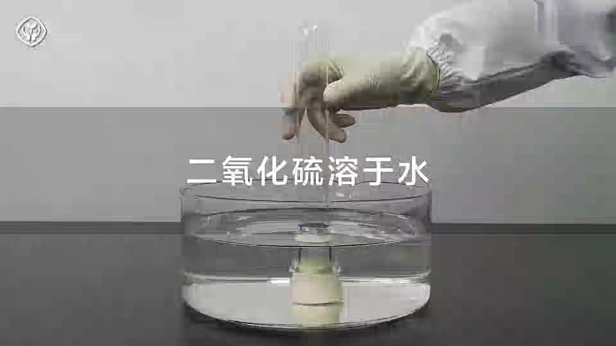 高中化学人教版2019必修二  5.1第一节 硫及其化合物 第2课时 课件第8页