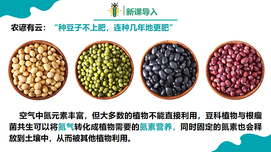 高中化学人教版2019必修二  5.2第二节 氮及其化合物 第1课时 课件第3页