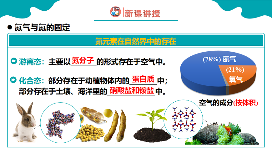 高中化学人教版2019必修二  5.2第二节 氮及其化合物 第1课时 课件第5页
