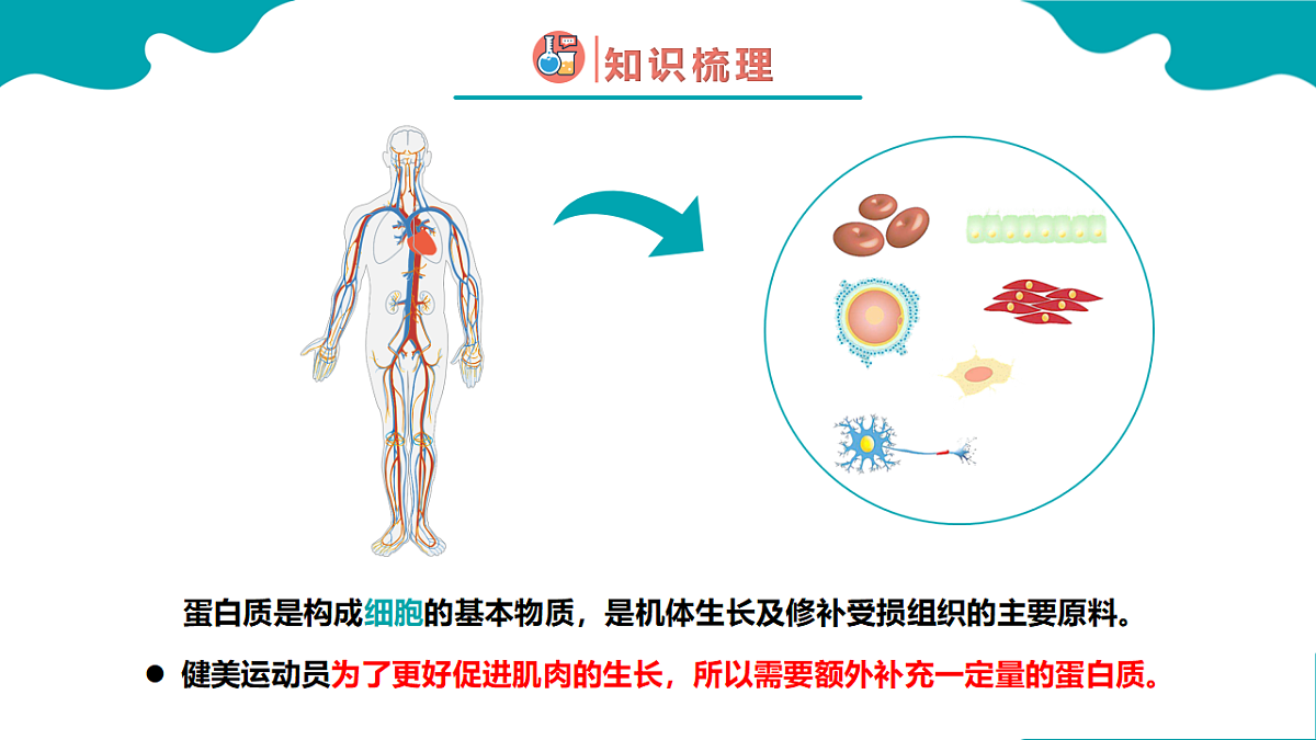 高中化学人教版2019必修二  7.4.2 基本营养物质 第2课时【教学课件】第4页