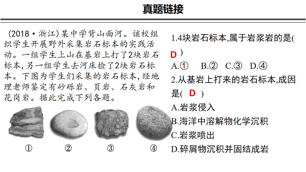 16920337第4页
