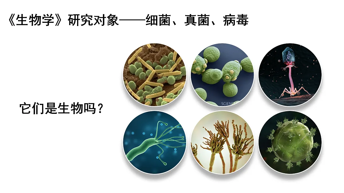 开学第一课课件-2024--2025学年人教版生物七年级上册第5页