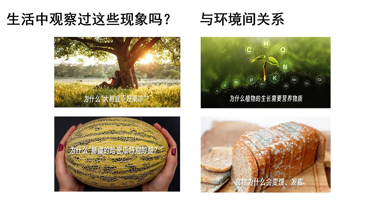 开学第一课课件-2024--2025学年人教版生物七年级上册第7页