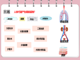 9.3 皮膚與汗液分泌 課件 2025學(xué)年北師大版生物七年級下冊