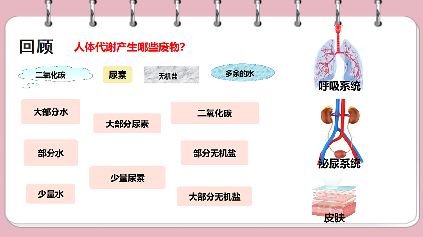 9.3 皮肤与汗液分泌 课件 2025学年北师大版生物七年级下册第1页
