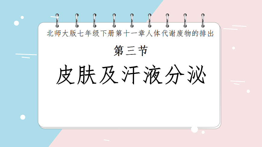9.3 皮肤与汗液分泌 课件 2025学年北师大版生物七年级下册第2页