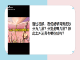 9.3 皮膚與汗液分泌 課件 2025學(xué)年北師大版生物七年級下冊