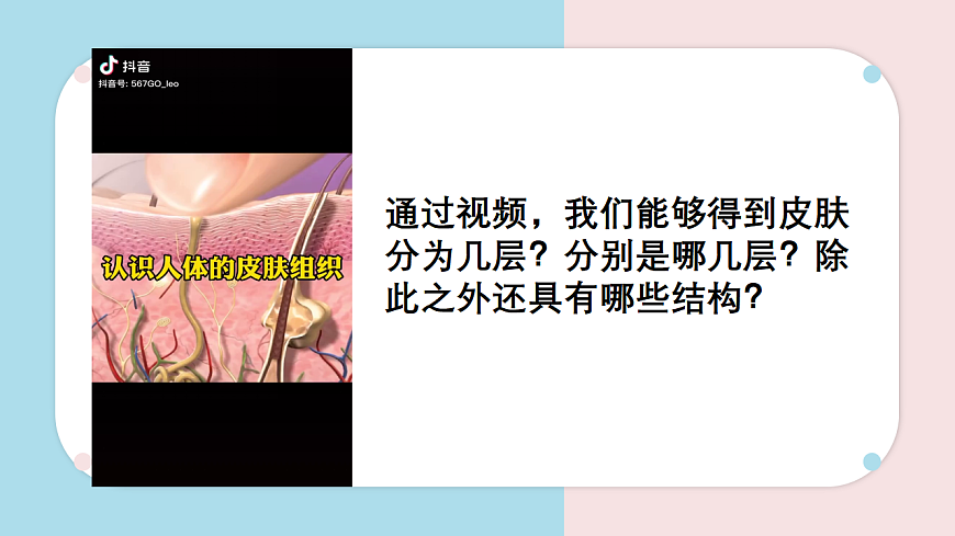 9.3 皮肤与汗液分泌 课件 2025学年北师大版生物七年级下册第4页