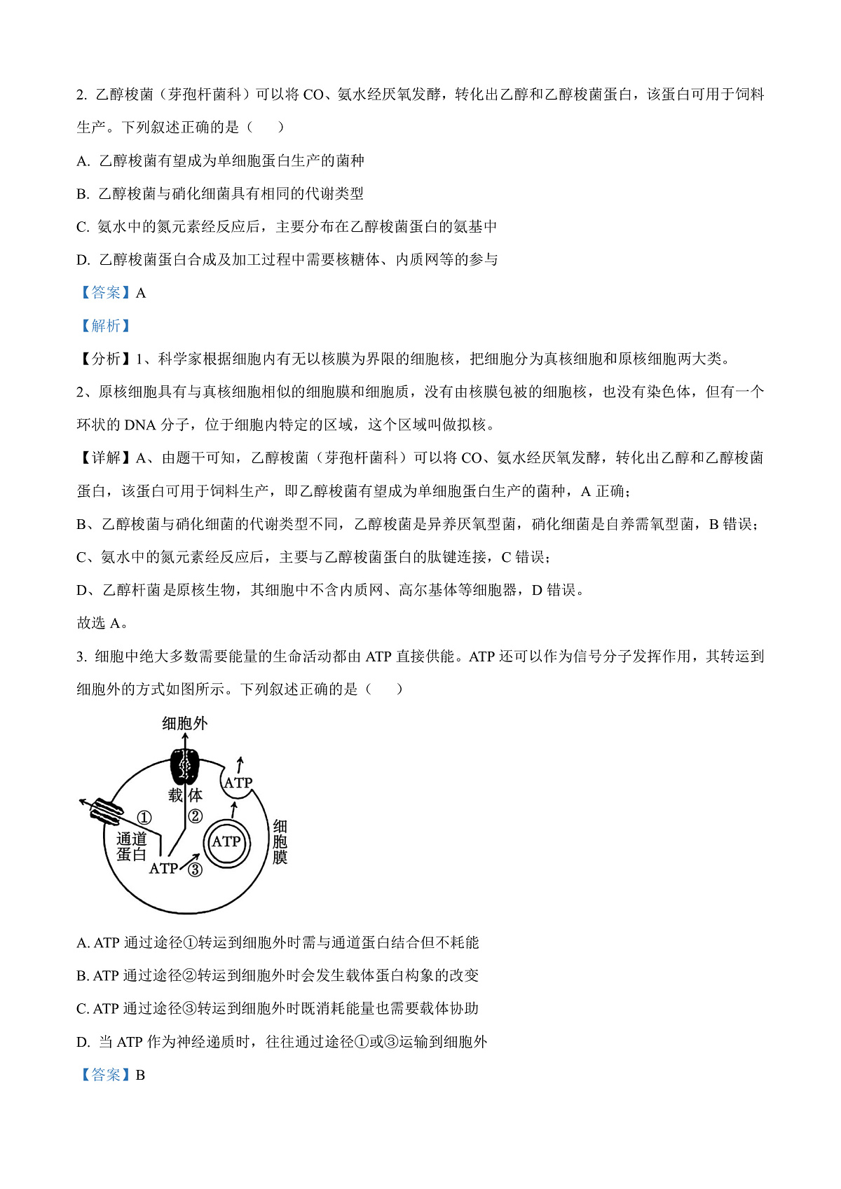 江苏省苏州市2024-2025学年高三上学期1月期末生物试题 Word版含解析第2页